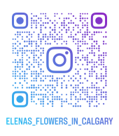Instagram QRCode